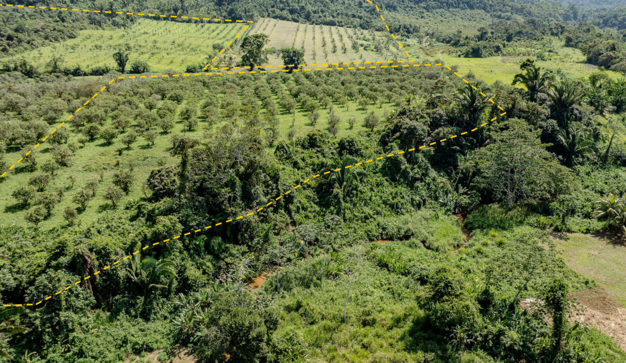 4520Acres20Hillside20Orchards20Billy20Barquedier20Creek20Hummingbird20Highway2020