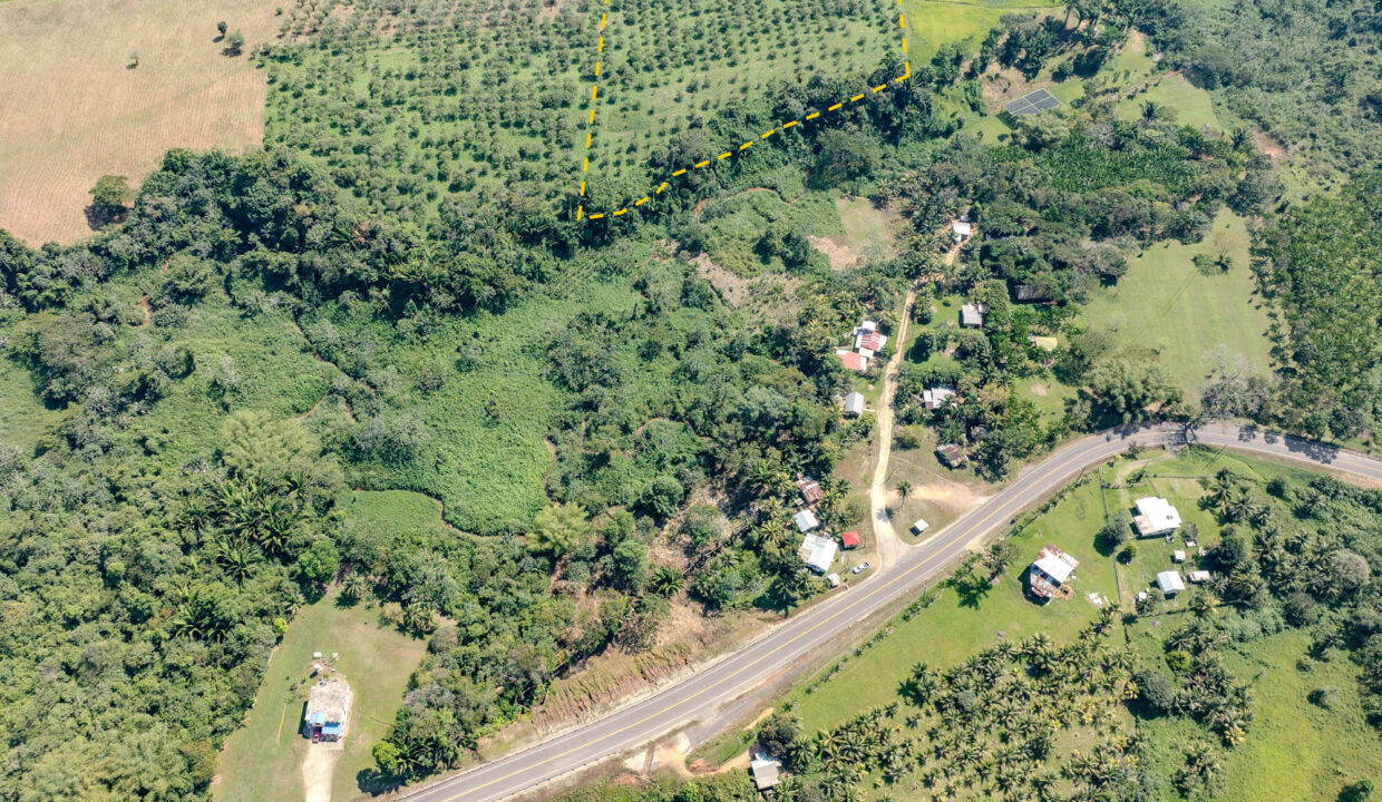 4520Acres20Hillside20Orchards20Billy20Barquedier20Creek20Hummingbird20Highway2021