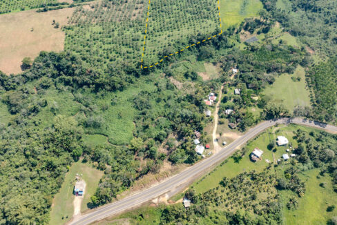 4520Acres20Hillside20Orchards20Billy20Barquedier20Creek20Hummingbird20Highway2021