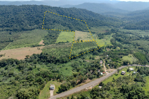 4520Acres20Hillside20Orchards20Billy20Barquedier20Creek20Hummingbird20Highway2022