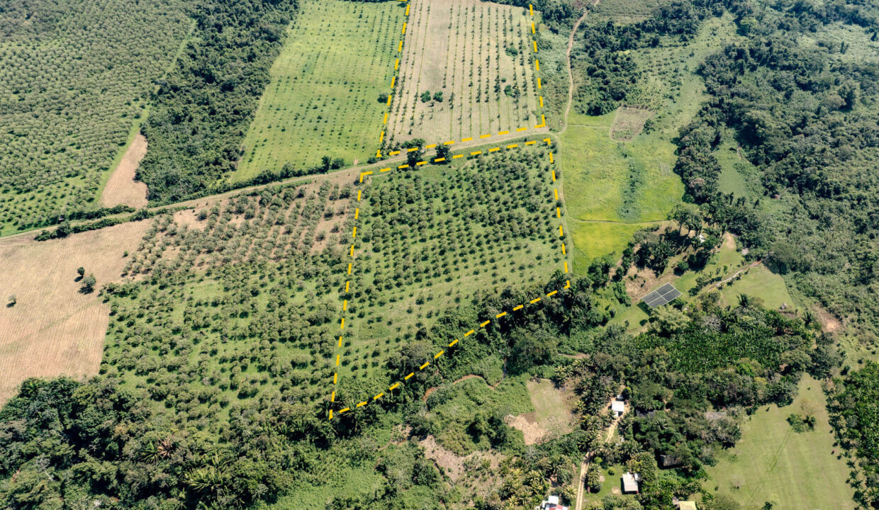 4520Acres20Hillside20Orchards20Billy20Barquedier20Creek20Hummingbird20Highway2023