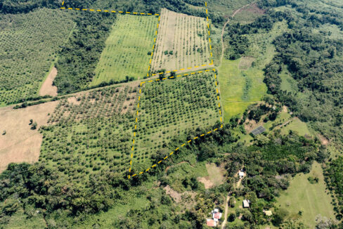 4520Acres20Hillside20Orchards20Billy20Barquedier20Creek20Hummingbird20Highway2023
