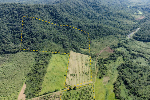 4520Acres20Hillside20Orchards20Billy20Barquedier20Creek20Hummingbird20Highway2024