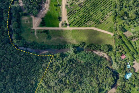 5020Acre20Riverfront20Hills20Lush20Rainforest20Caves20Branch20River20Belize2001