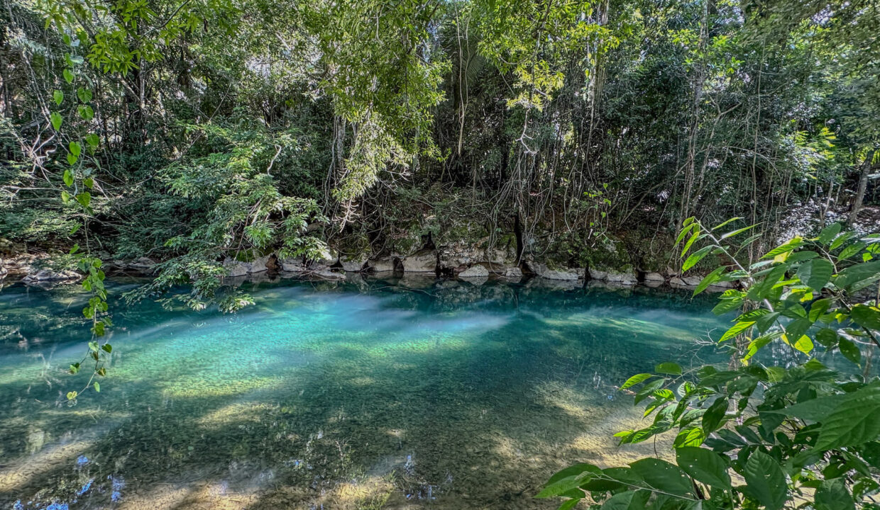 5020Acre20Riverfront20Hills20Lush20Rainforest20Caves20Branch20River20Belize2002