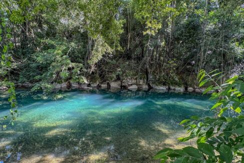 5020Acre20Riverfront20Hills20Lush20Rainforest20Caves20Branch20River20Belize2002