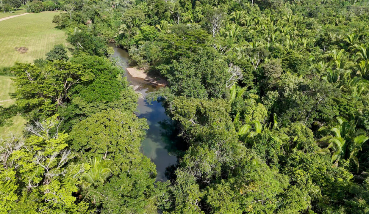 5020Acre20Riverfront20Hills20Lush20Rainforest20Caves20Branch20River20Belize2003