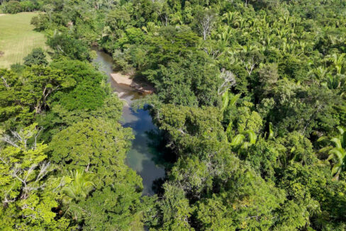5020Acre20Riverfront20Hills20Lush20Rainforest20Caves20Branch20River20Belize2003