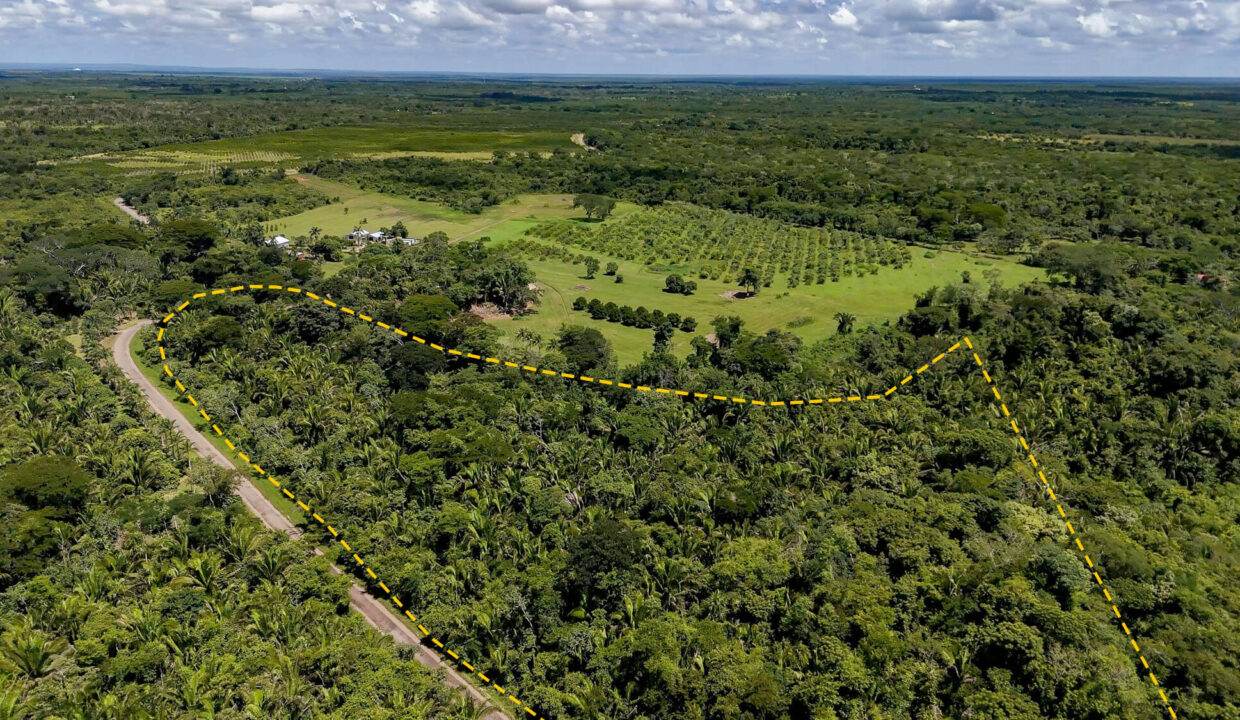 5020Acre20Riverfront20Hills20Lush20Rainforest20Caves20Branch20River20Belize2006