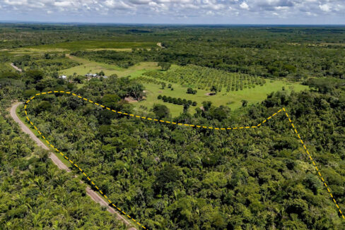 5020Acre20Riverfront20Hills20Lush20Rainforest20Caves20Branch20River20Belize2006