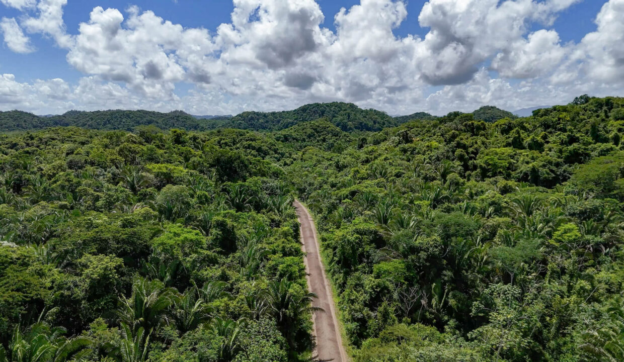 5020Acre20Riverfront20Hills20Lush20Rainforest20Caves20Branch20River20Belize2007