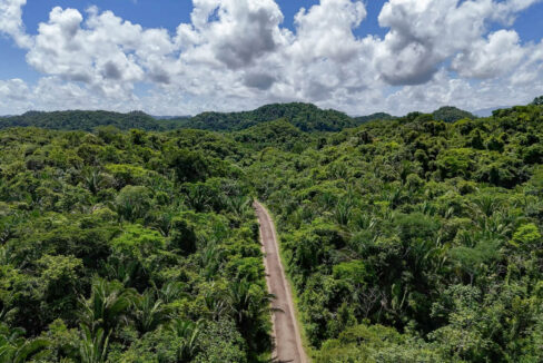5020Acre20Riverfront20Hills20Lush20Rainforest20Caves20Branch20River20Belize2007