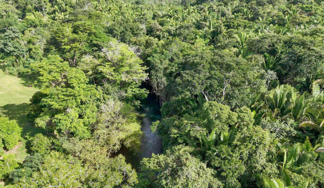 5020Acre20Riverfront20Hills20Lush20Rainforest20Caves20Branch20River20Belize2009