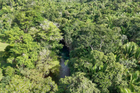 5020Acre20Riverfront20Hills20Lush20Rainforest20Caves20Branch20River20Belize2009