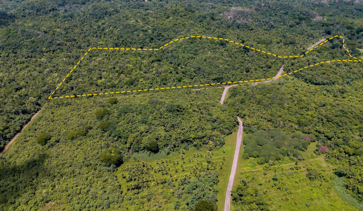 5020Acre20Riverfront20Hills20Lush20Rainforest20Caves20Branch20River20Belize2010