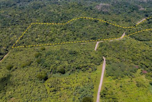 5020Acre20Riverfront20Hills20Lush20Rainforest20Caves20Branch20River20Belize2010