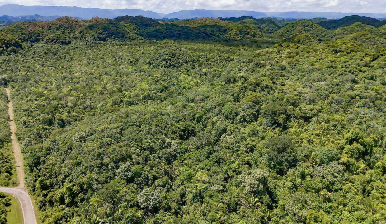 5020Acre20Riverfront20Hills20Lush20Rainforest20Caves20Branch20River20Belize2012