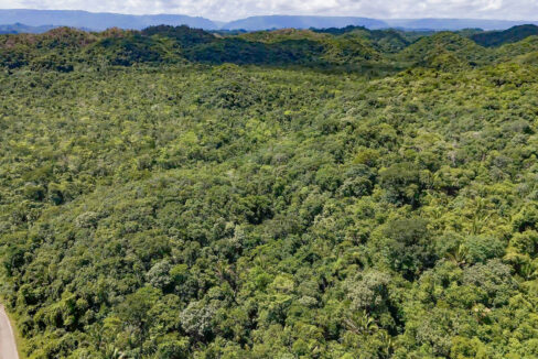 5020Acre20Riverfront20Hills20Lush20Rainforest20Caves20Branch20River20Belize2012