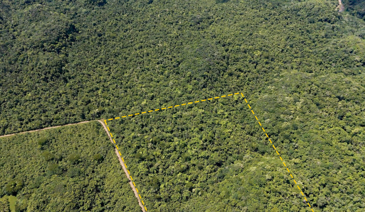 5020Acre20Riverfront20Hills20Lush20Rainforest20Caves20Branch20River20Belize2013