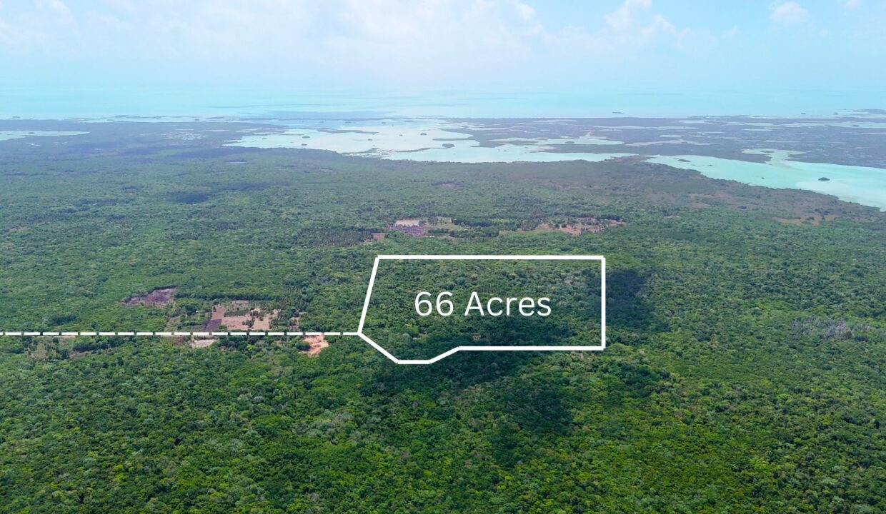 66 Acres