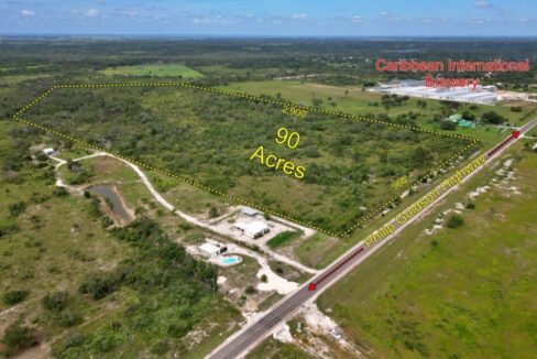 90-acres-carmelita-hibiscus-estate1-1170x760
