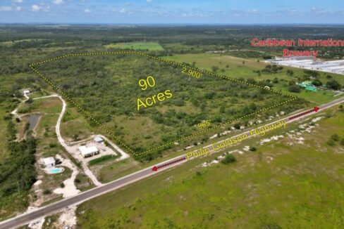 90-acres-carmelita-hibiscus-estate3-1170x760