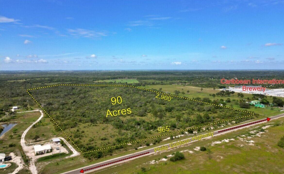 90-acres-carmelita-hibiscus-estate6-1170x760