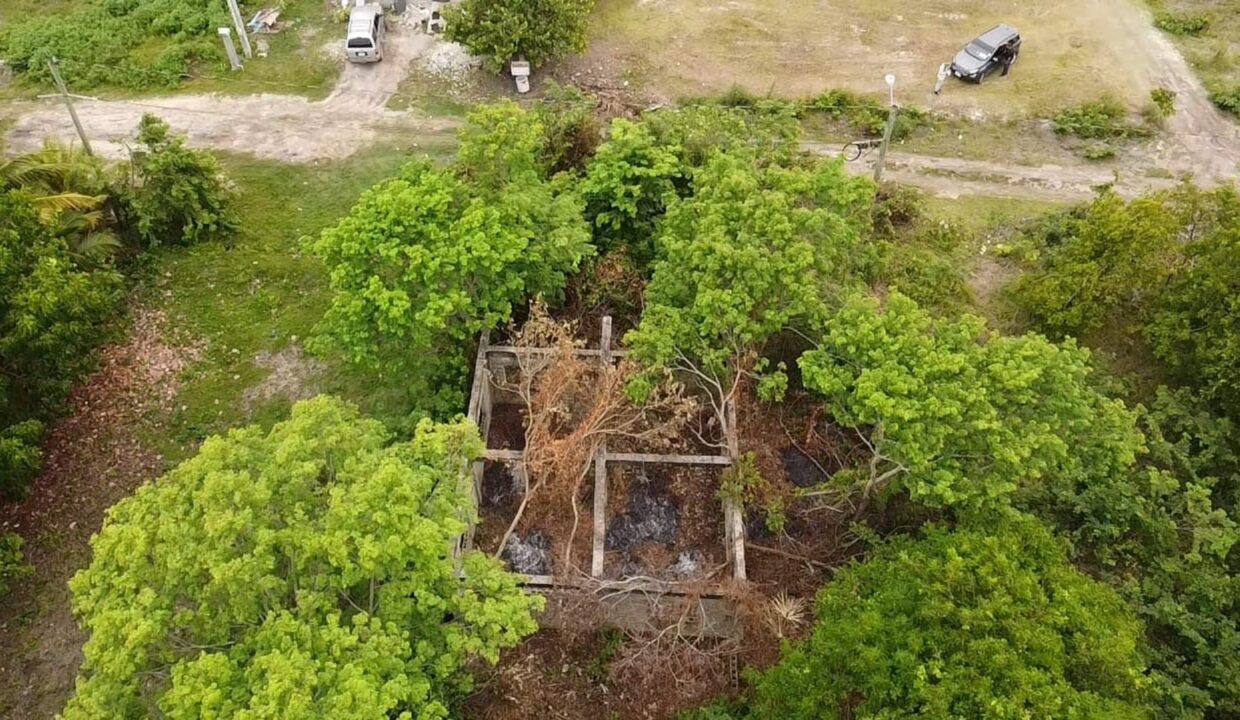 Corozal7