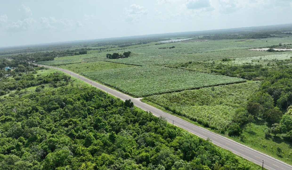 DJI_0457
