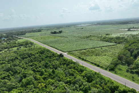 DJI_0457
