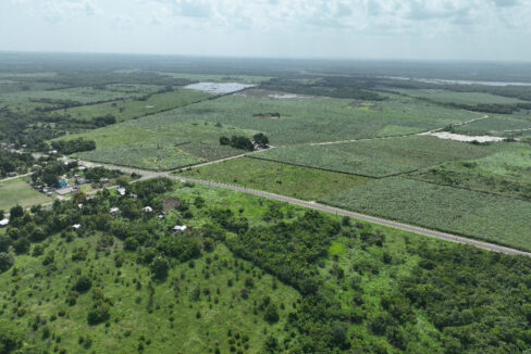 DJI_0460