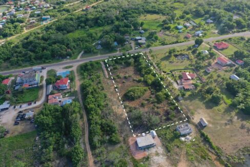 DJI_0870