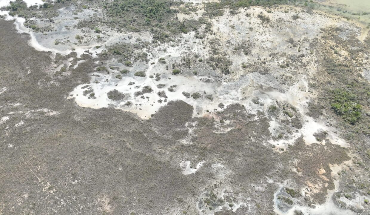 DJI_20250315110612_0185_D-scaled