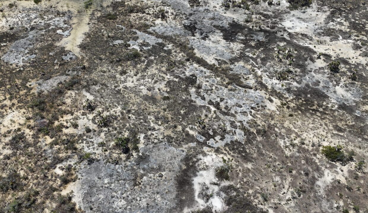 DJI_20250315111420_0213_D-scaled
