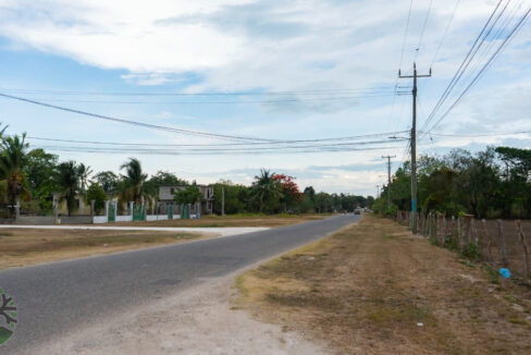 DSC03993