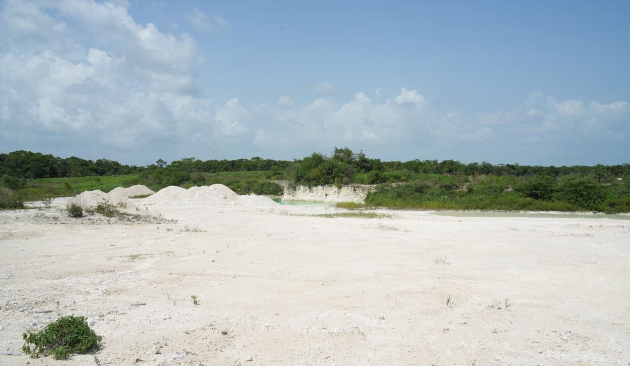 DSC04786