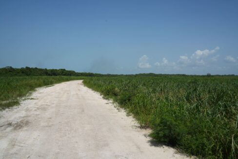 DSC04832