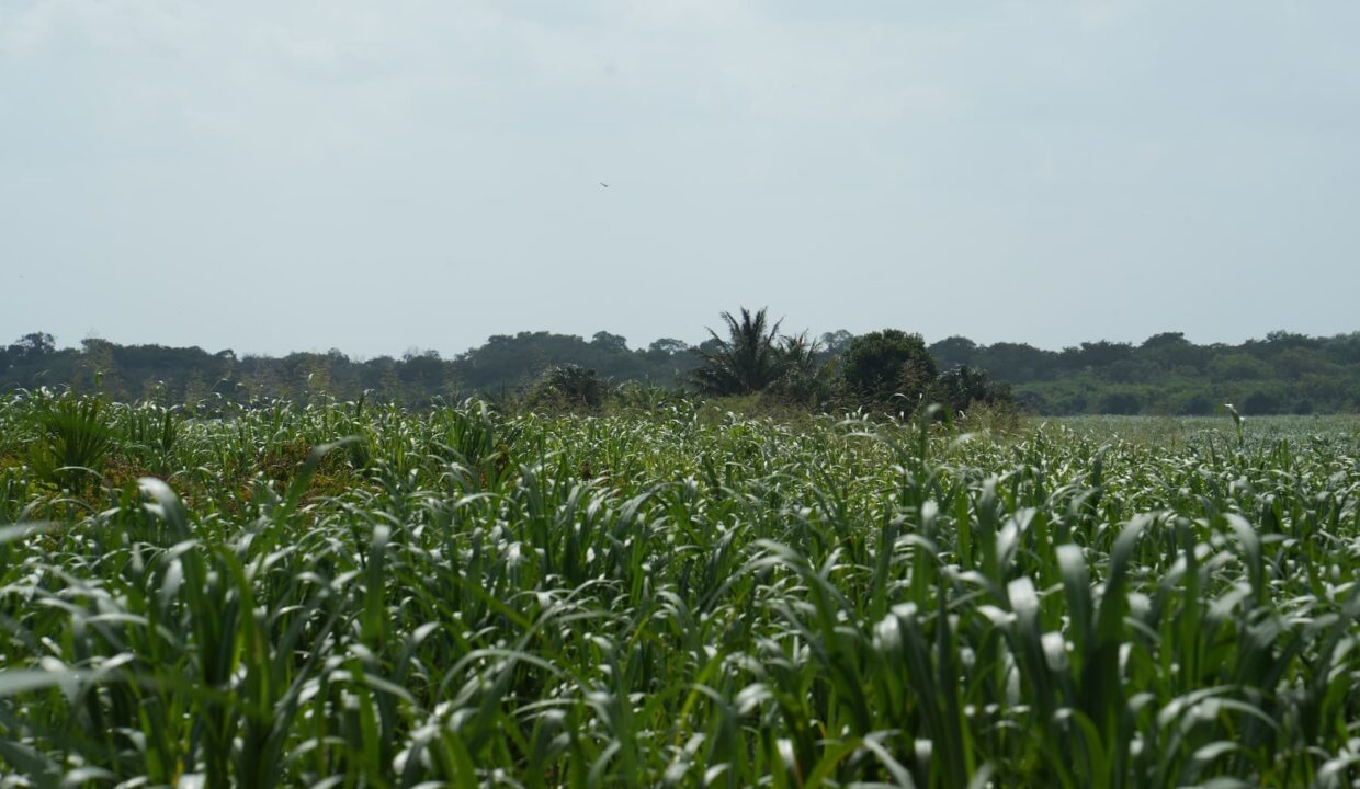 DSC04872