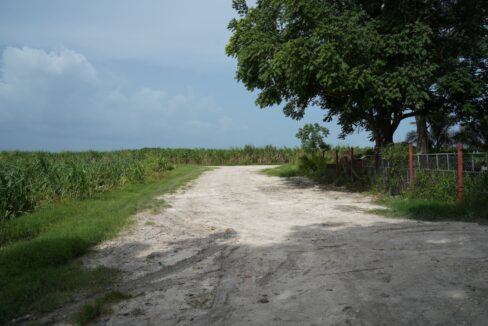 DSC04877