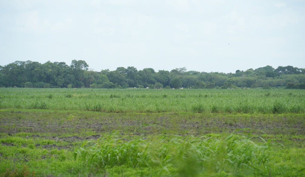 DSC04890
