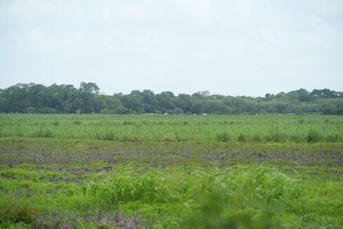 DSC04890