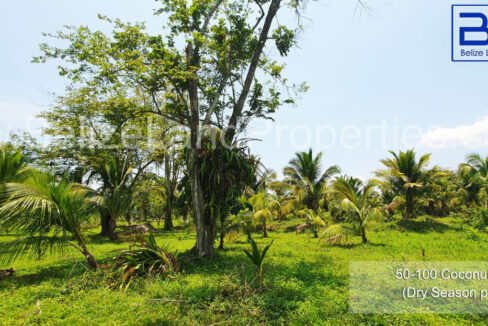 Grounds-of-property-1110x623