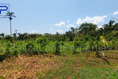 Land-Towards-road-1110x623