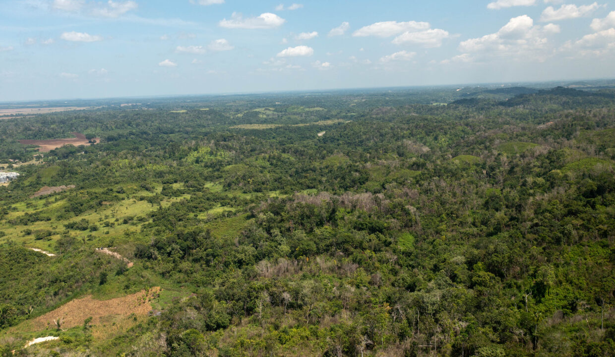 OntarioVillageHillProperty1