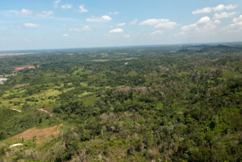 OntarioVillageHillProperty1