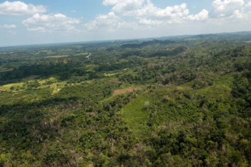 OntarioVillageHillProperty10