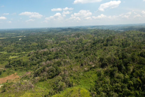 OntarioVillageHillProperty2