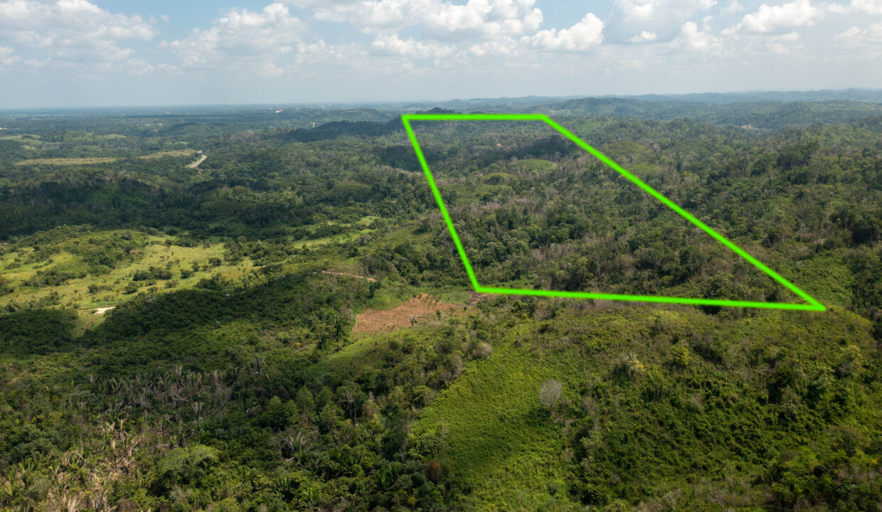 OntarioVillageHillProperty3
