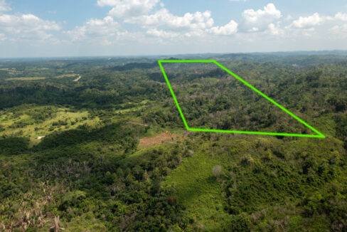 OntarioVillageHillProperty3