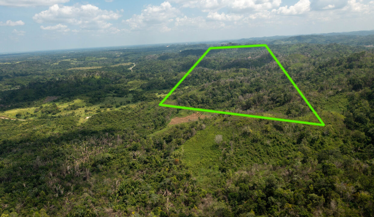 OntarioVillageHillProperty4